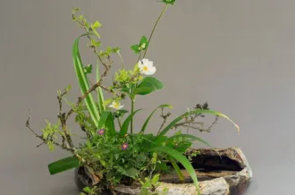 Atelier Ikebana
