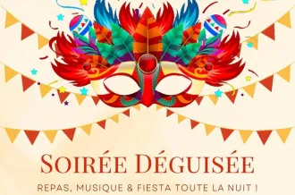 IMG Soirée déguisée
