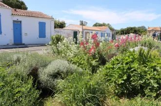Semaine de l'Arbre et du Paysage : Sur les pas d'une "Ville Jardin" au Château-d'Oléron