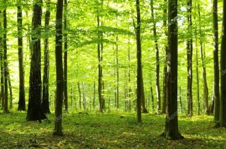 Balade sensorielle à Nodes