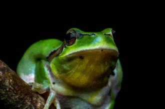 Les zones humides dans les cycles de l'eau