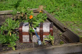 La magie des plantes : chasse au trésor_Le Château-d'Oléron