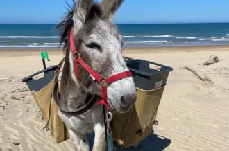 Ramassage des déchets sur plage_Saint-Georges-d'Oléron