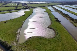 Tous dehors sur Oléron : de la dune au marais