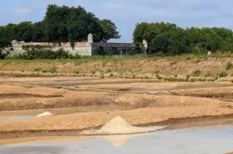 Saline et Marais_Marennes-Hiers-Brouage
