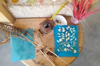Atelier 7-12 ans - Ma plante Frankenstein_Le Grand-Village-Plage