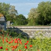 Brouage, au coeur des marais