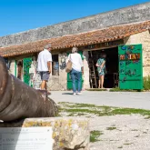 Historia del arte y galerías de arte Marennes-Oléron