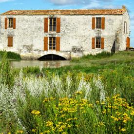 Moulin des Loges