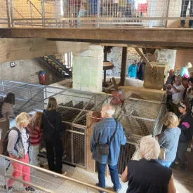 Visite guidée du Moulin des Loges
