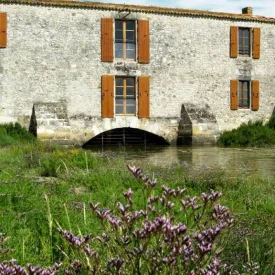 Découverte sensorielle du marais au Moulin des Loges_Saint-Just-Luzac