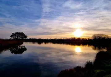 Village vacances Les Bris Vacances Passion_Saint-Trojan-les-Bains