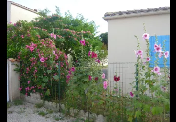 mamaisonaoleron.fr