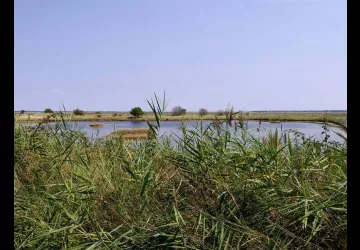 Marais des Bris