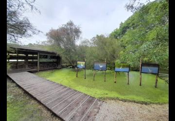 Le Marais aux Oiseaux