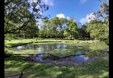 Le Marais aux Oiseaux