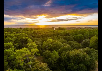 Forêt des Saumonards_Saint-Georges-d'Oléron