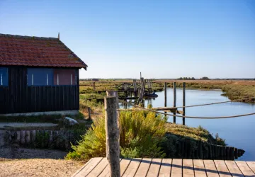 Port paradis_Nieulle-sur-Seudre