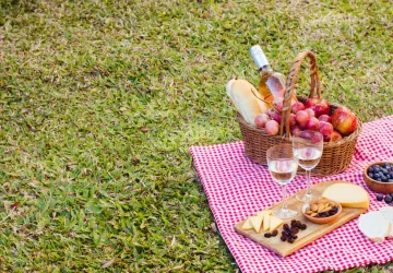 Aire de pique-nique La Boirie