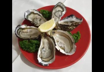 Le Terminus_Bourcefranc-le-Chapus