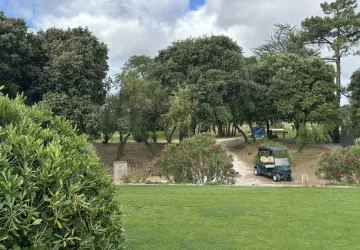 Golf  26