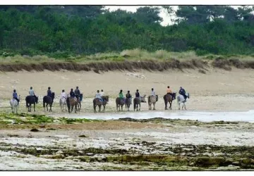 Balade plage