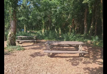 Aire de pique-nique Marais aux Oiseaux_Dolus-d'Oléron