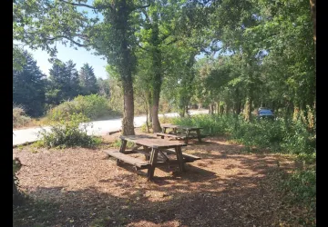 Aire de pique-nique Marais aux Oiseaux_Dolus-d'Oléron