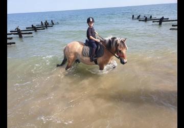 Les Cavaliers du Fort Boyard