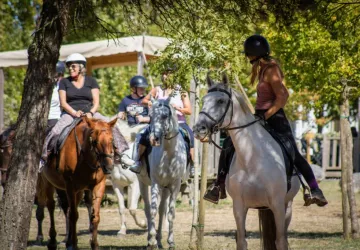 Camping les Embruns d'Oléron_Le Château-d'Oléron