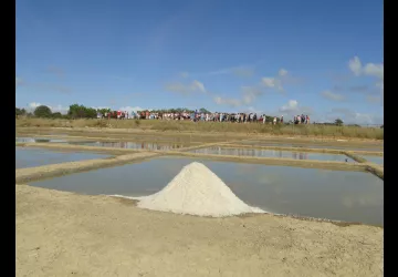 Salines en fête