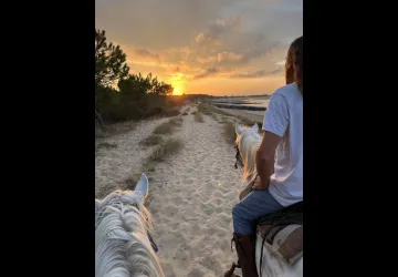 Les Cavaliers d'Oléron_Saint-Georges-d'Oléron