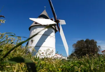 Conférence sur les moulins_La Brée-les-Bains