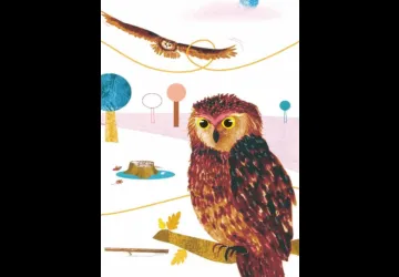 Exposition "Suis du doigt la Chouette"_Marennes-Hiers-Brouage