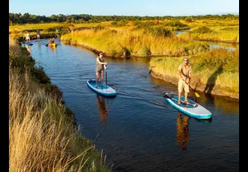 Salicorne Paddle & Kayak_Saint-Georges-d'Oléron