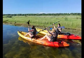 Salicorne Paddle & Kayak_Saint-Georges-d'Oléron