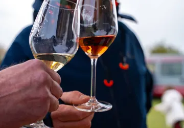 Fête des Vendanges et du Terroir_Saint-Denis-d'Oléron
