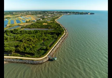Chemin d'Oléron - du Château d'Oléron à Boyardville_Le Château-d'Oléron
