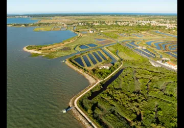 Chemin d'Oléron - du Château d'Oléron à Boyardville_Le Château-d'Oléron
