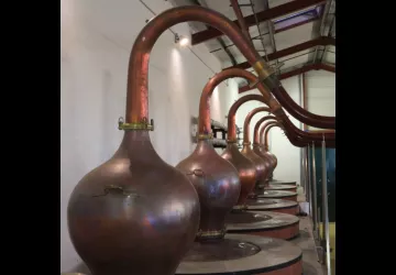 Visite guidée de la distillerie