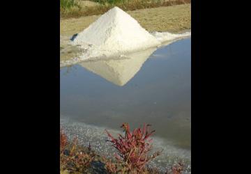 Atelier 4-6 ans Les saisons du marais au Port des Salines