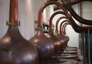 Visite guidée : Distillerie avec dégustation