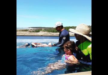 Cours de natation