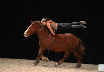 Hippo'Kausis - Spectacle equestre et feu_Saint-Trojan-les-Bains