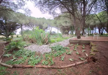 Les jardins de l'âme cham