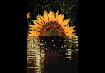 Exposition de photos de Agathe Ferrandez_Marennes-Hiers-Brouage