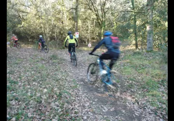 Randonnée des Mimoas_Saint-Trojan-les-Bains