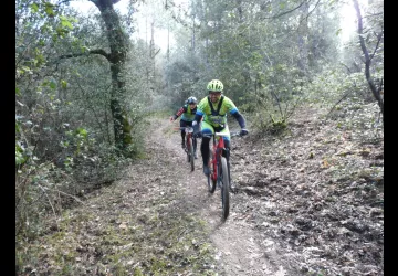 Randonnée des Mimoas