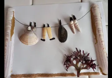 Atelier créatif : tableau de coquillages_Le Château-d'Oléron