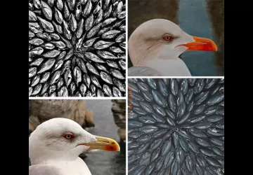EXPOSITION Caroline Watrigant et Emma Tourneur